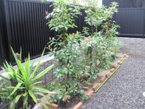 はじめまして　酒井です