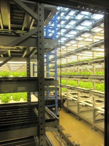 ９月２日　台風が来ました