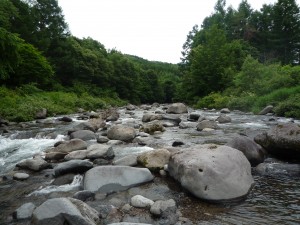 おもわぬ強者との出会い・・・