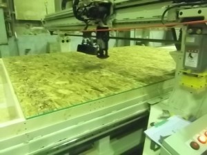 寒くなりました