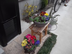 三寒四温で春めいて　いよいよ3月になりました。