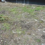 名古屋市北区辻町草むしりしてきました